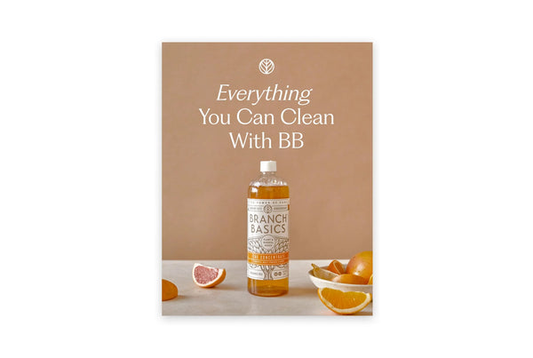 Everything You Can Clean Guide