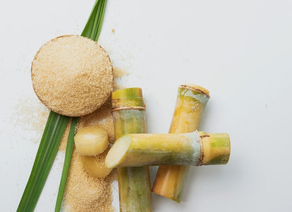 Sugar cane