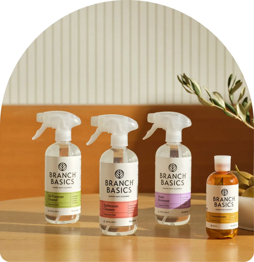 Four bottles of Branch Basics cleaning products on a wooden surface with a neutral background.